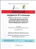 Диплом лауреата II степени второго областного конкурса "Лучший преподаватель деткой школы искусств Новосибирской области"